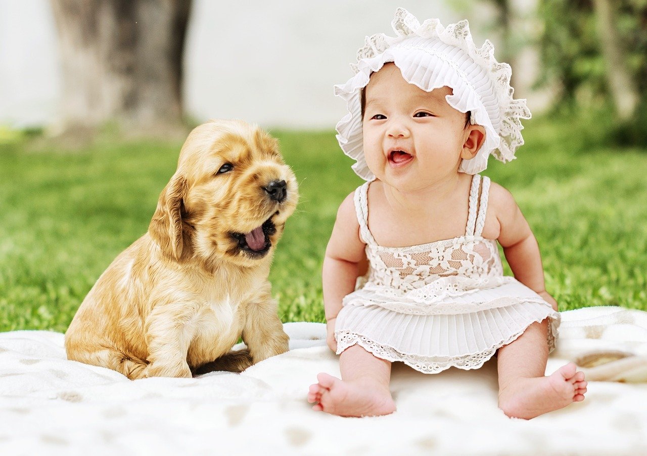 baby-3858285 1280 baby-3858285 1280